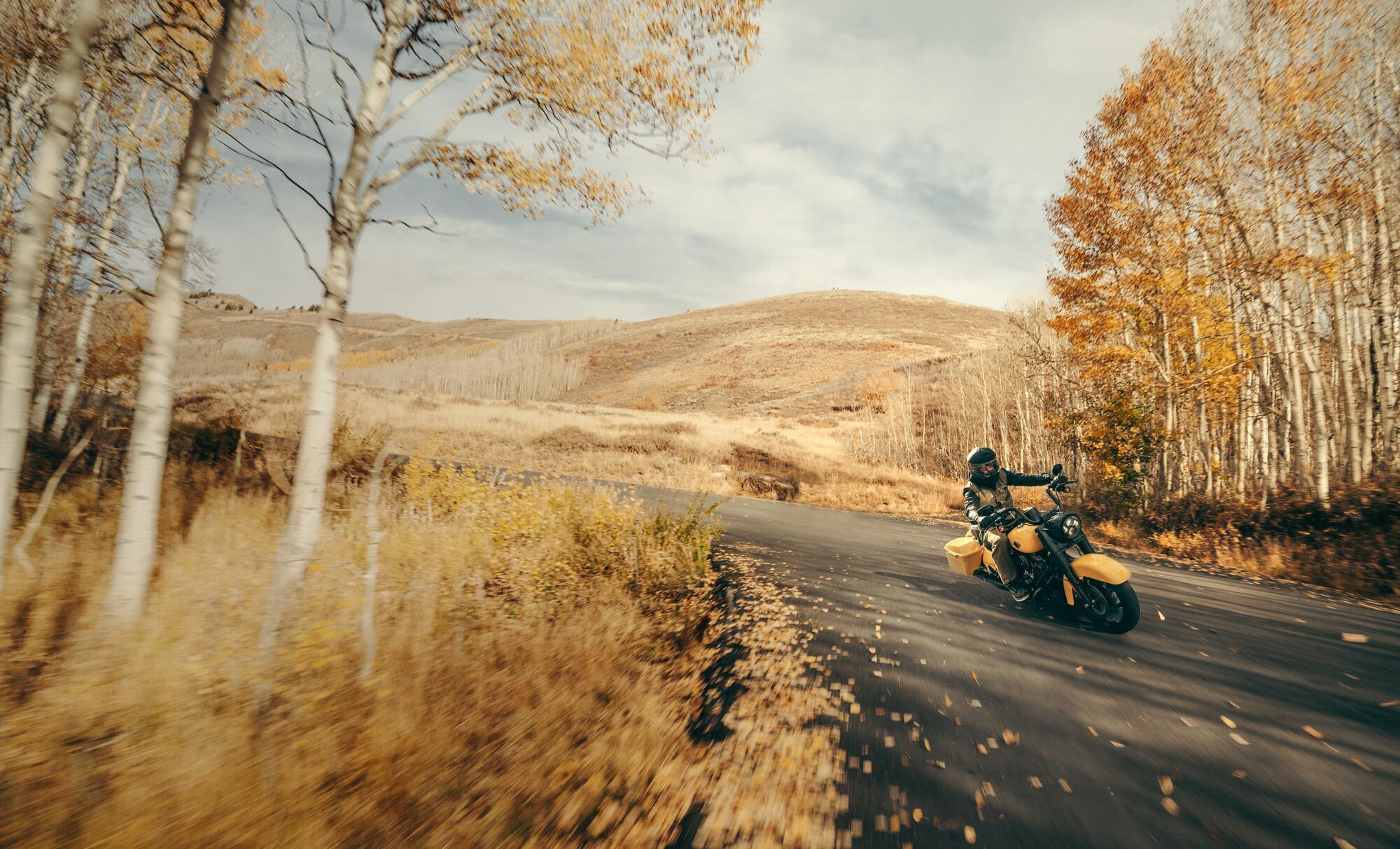 Le Specifiche di Performance Chiave nelle Moto Harley-Davidson