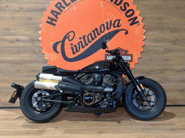 sportsters-usata-2024-2