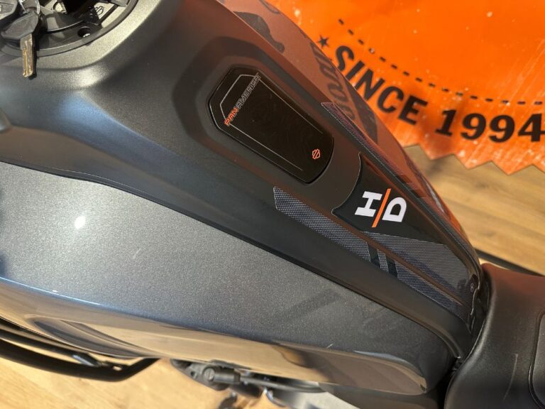 panamerica-usato-2023-21