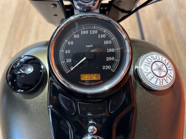 softailslim-usato-2015-13
