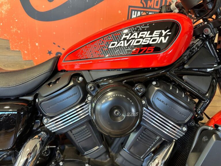 Harley Davidson Civitanova | Harley-Davidson Nightster RH975 nightster-usato-2026-5